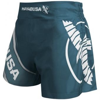 Шорты Hayabusa hayshorts094, фото 2