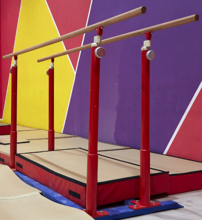 Брусья мужские Олимпийские с углепластиковыми жердями профессиональные, фото 1