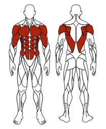 Жим лежа (красный) - Уличный тренажер - СТ 026-11.П, фото 7