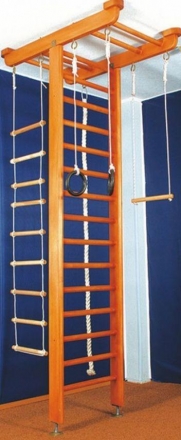 Детский спортивный комплекс (ДСК) &quot;Карусель 2Д.04.01&quot;, орех, фото 2