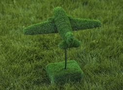 Топиари Самолет - газон Eco, фото 3