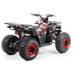 Квадроцикл MOTOLAND Wild 150, фото 7 Квадроцикл MOTOLAND Wild 150, фото 7