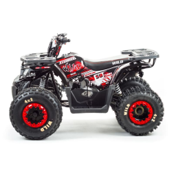 Квадроцикл MOTOLAND Wild 150, фото 4 Квадроцикл MOTOLAND Wild 150, фото 4