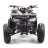 Квадроцикл MOTOLAND Wild 150