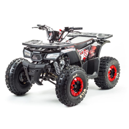 Квадроцикл MOTOLAND Wild 150, фото 1 Квадроцикл MOTOLAND Wild 150, фото 1