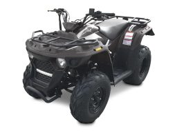 Квадроцикл LINHAI-YAMAHA M150, фото 1