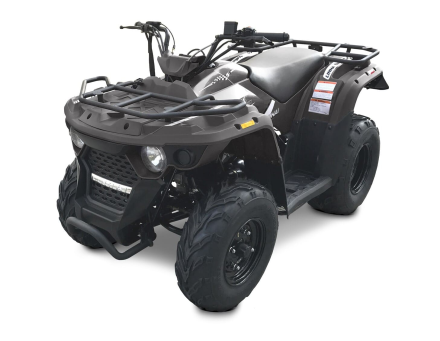 Квадроцикл LINHAI-YAMAHA M150, фото 1