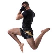 Шорты Hayabusa haytshorts014