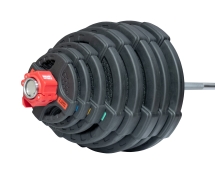 Штанга олимпийская 218 кг (диски с двумя хватами) Штанга олимпийская 218 кг (диски с двумя хватами)