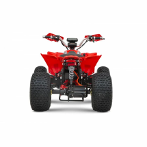 Квадроцикл YACOTA E-Sport 3000W LD Квадроцикл YACOTA E-Sport 3000W LD