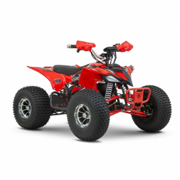 Квадроцикл YACOTA E-Sport 3000W LD, фото 2