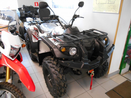 STRIKER 700 EFI, фото 6