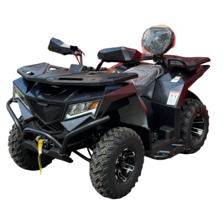 Квадроцикл APOLLO CyberRoamer 250 Max (2025), фото 1