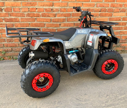 Квадроцикл MOWGLI Sharp, фото 5 Квадроцикл MOWGLI Sharp, фото 5