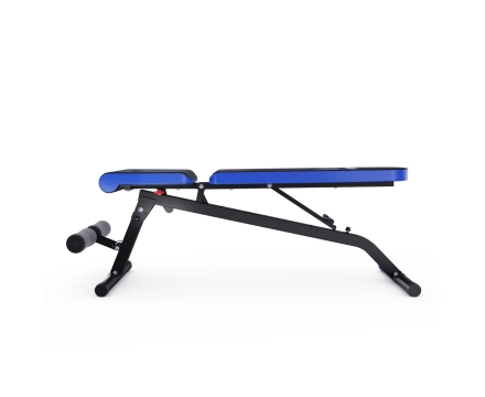 Скамья силовая универсальная DFC Pro Fitness D848, фото 9