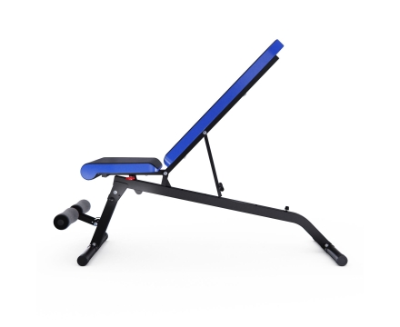 Скамья силовая универсальная DFC Pro Fitness D848, фото 7