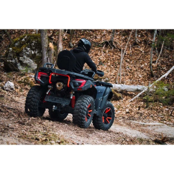 Квадроцикл TGB Blade 1000 LTX EPS Premium, фото 11