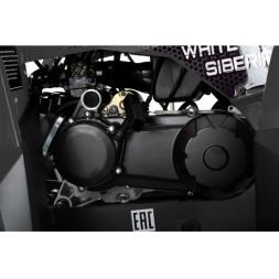 Бензиновый квадроцикл WHITE SIBERIA BARS 200CC PRO, фото 13
