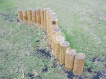 Переход Пеньки Переход Пеньки