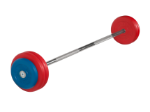 Штанга неразборная "Barbell" с цветными дисками d 25 мм, 30 кг Штанга неразборная "Barbell" с цветными дисками d 25 мм, 30 кг