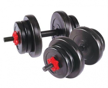 Гантель сборная Lite Weights 20 кг (10кг х 2шт), фото 1