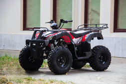 Квадроцикл UNIVERSAL Avenger JR 150, фото 4
