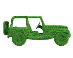 Топиари Джип L=200см – газон Есо, фото 3