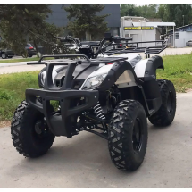 Квадроцикл YACOTA SELA 200 Квадроцикл YACOTA SELA 200