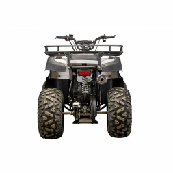 Квадроцикл YACOTA SELA 200, фото 4