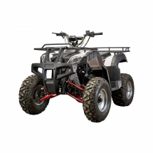 Квадроцикл YACOTA SELA 200 Квадроцикл YACOTA SELA 200