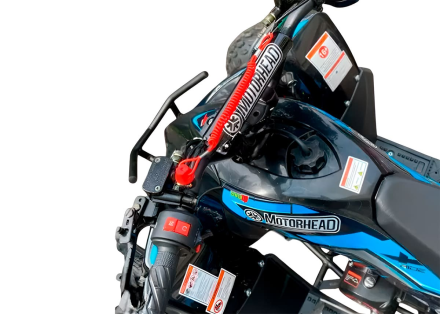 Квадроцикл MOTORHEAD Devil, фото 3