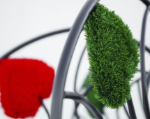 Топиари Дерево влюбленных - газон Eco Топиари Дерево влюбленных - газон Eco