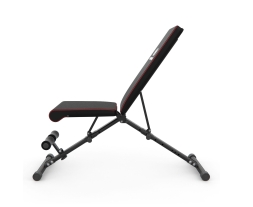 Скамья силовая универсальная DFC B-ADVENOR, фото 9 Скамья силовая универсальная DFC B-ADVENOR, фото 9