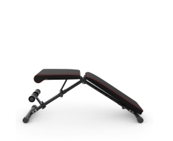 Скамья силовая универсальная DFC B-ADVENOR, фото 2 Скамья силовая универсальная DFC B-ADVENOR, фото 2