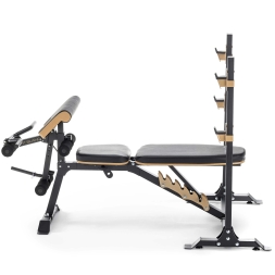 Многофункциональная скамья домашняя OXYGEN FITNESS MONT BLANC, фото 3