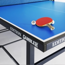 Теннисный стол GAMBLER Indoor 