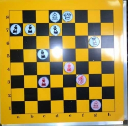 Доска шахматная демонстрационная 1х1м