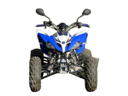 Квадроцикл YAMAHA YFM250R - replica, фото 3 Квадроцикл YAMAHA YFM250R - replica, фото 3