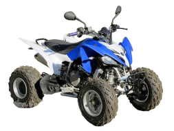 Квадроцикл YAMAHA YFM250R - replica, фото 2 Квадроцикл YAMAHA YFM250R - replica, фото 2