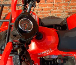 Квадроцикл MOWGLI Bold 8+, фото 5 Квадроцикл MOWGLI Bold 8+, фото 5