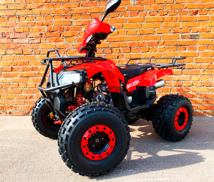 Квадроцикл MOWGLI Bold 8+, фото 1