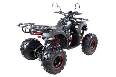 Квадроцикл MOTAX ATV Grizlik 7 110 cc, фото 10