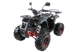 Квадроцикл MOTAX ATV Grizlik 7 110 cc, фото 8