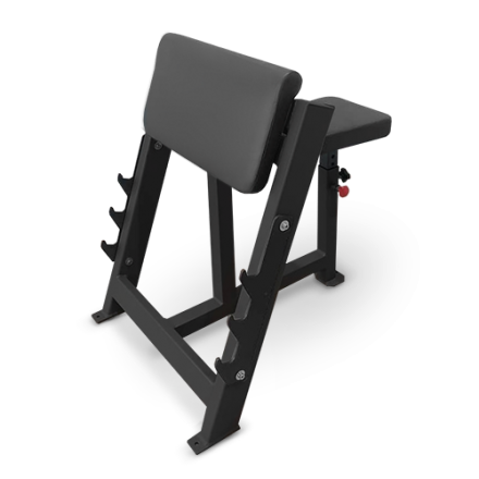 BRONZE GYM AL-303 Скамья Скотта, фото 1