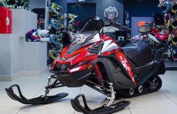 Снегоход ATAKI WD 250, фото 5