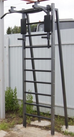 Шведская стенка для улицы EffectSport ПРОФ(У)-ТБПШ35, фото 1