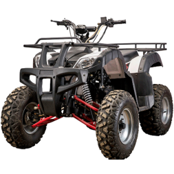 Подростковый квадроцикл YACOTA SELA 150, фото 1