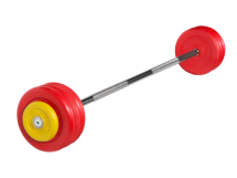 Штанга неразборная "Barbell" с цветными дисками d 25 мм, 37,5 кг Штанга неразборная "Barbell" с цветными дисками d 25 мм, 37,5 кг