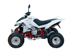 Квадроцикл SYM QuadRaider 450, фото 2 Квадроцикл SYM QuadRaider 450, фото 2