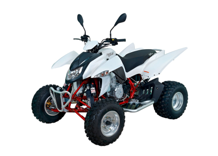 Квадроцикл SYM QuadRaider 450, фото 1